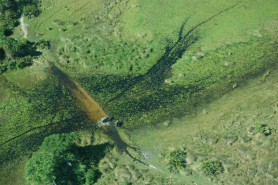 Okavango Delta Botswana Okavango Delta Botswana