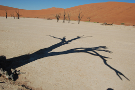 Deadvlei Namibia Deadvlei Namibia